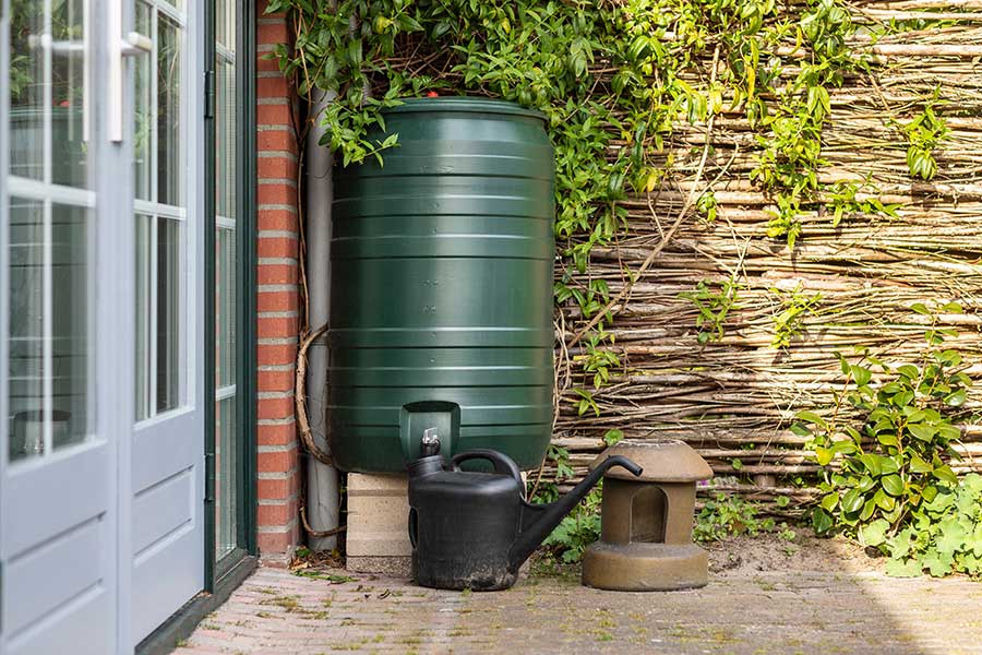 Use a water butt to collect water throughout winter ready for use in the summer months